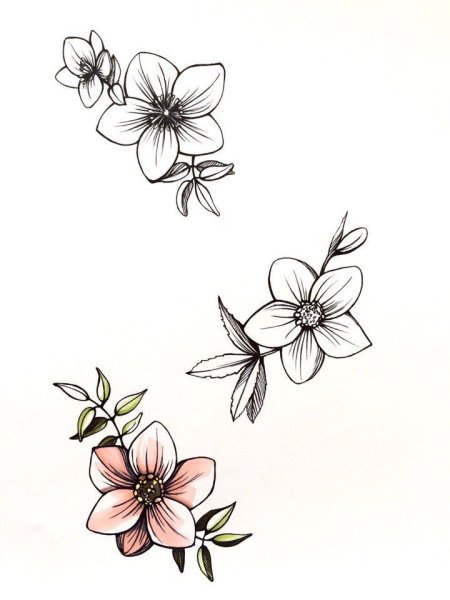 Мелкие цветы эскиз