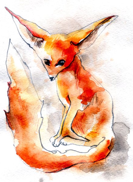 Фенек лиса маленький принц