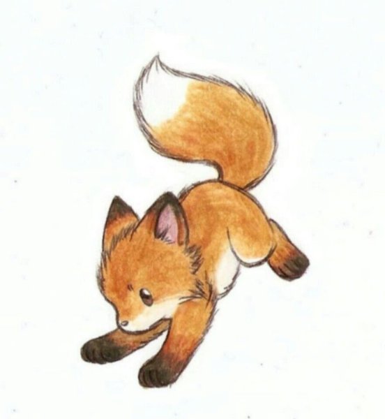 Лиса рисовка