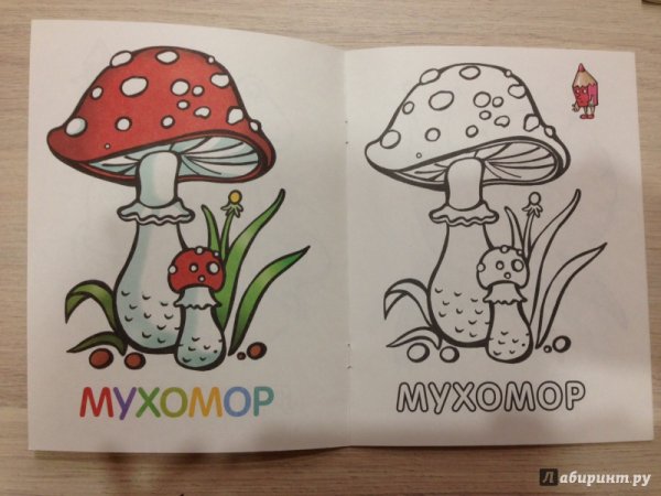 Мухомор раскраска для детей