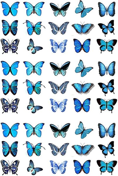 Бабочки для печати
