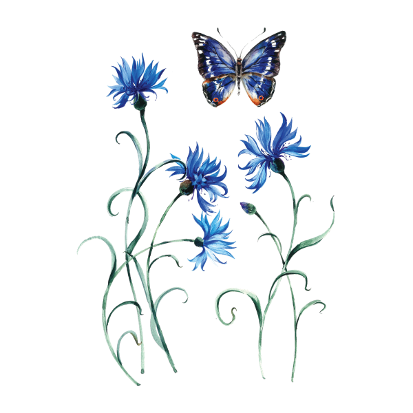 Стилизованные васильки