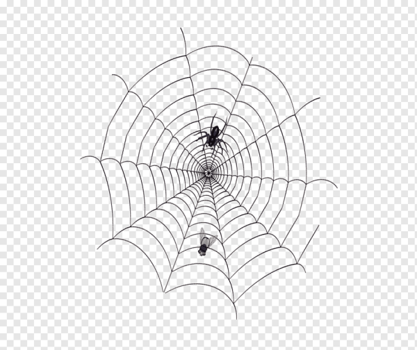 Паук и паутина для детей