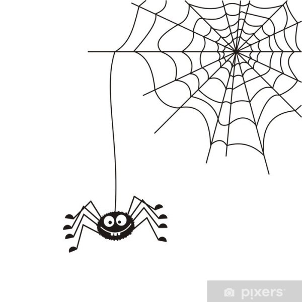 Ч/Б паутина