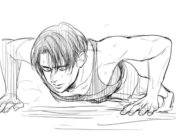 Леви Аккерман печать