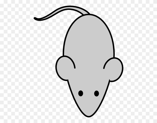 Мышка без хвоста для детей