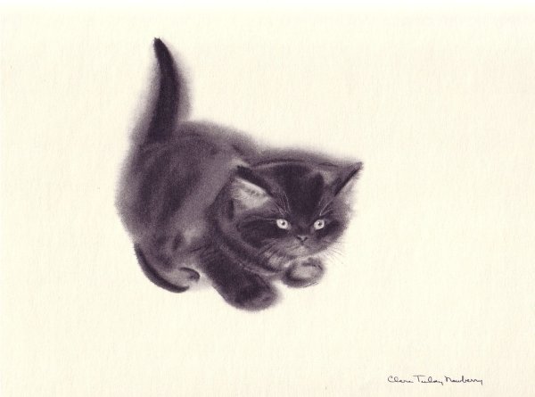 Котенок углем