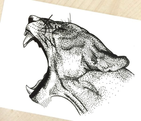 Пантера дотворк