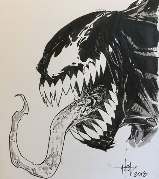 Эскиз Веном и Карнаж