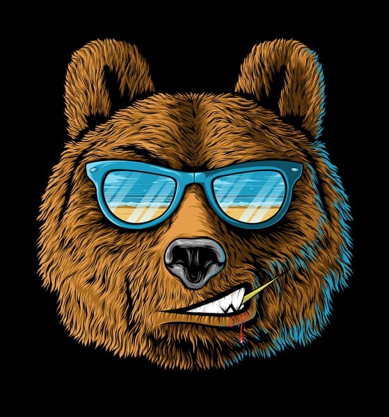 Медведь спортсмен