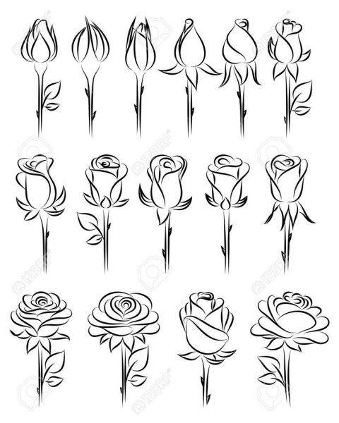 Розочка тату эскиз