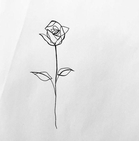 Эмблема розы с шипами