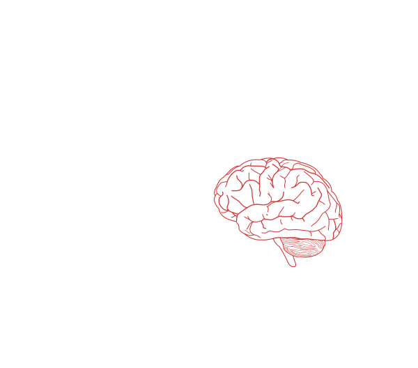 Маленький мозг