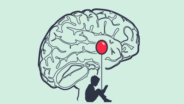 Маленький мозг