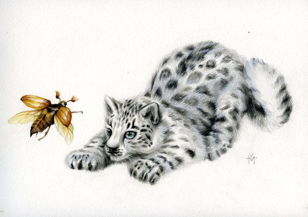 Снежный Барс котенок рисунок