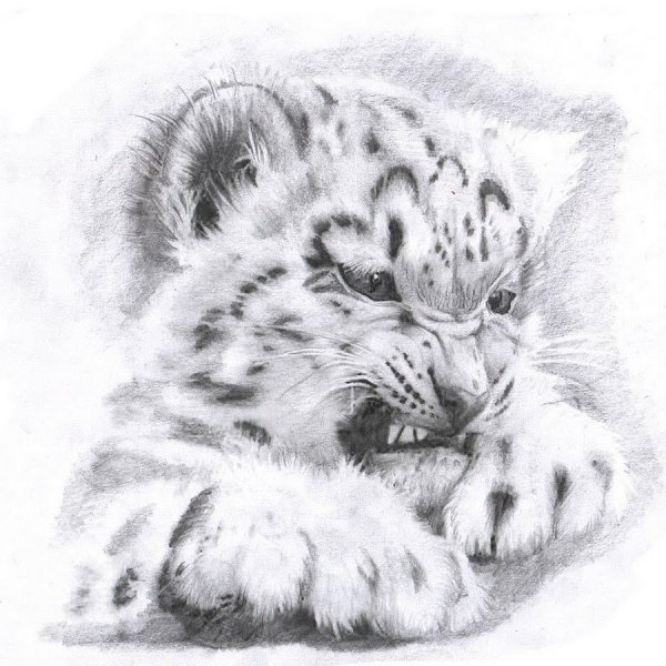 Снежный Барс принт