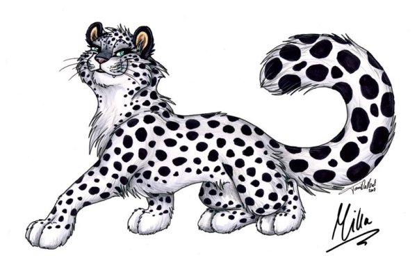 Molly картина по номерам "снежные Барсы" 15х20 см