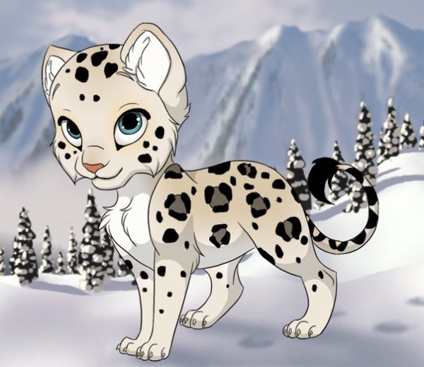 Снежный Барс рисунок карандашом