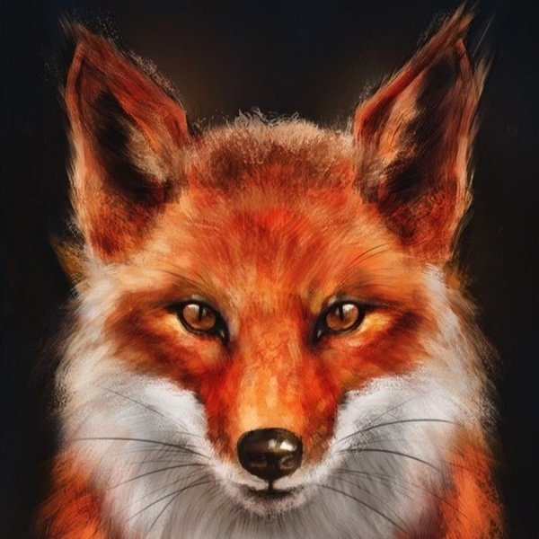 Разноцветная лиса