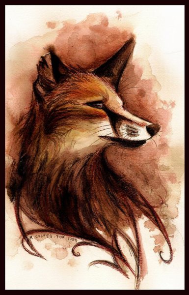 Лис девинарт