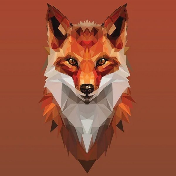 Крутые лисы