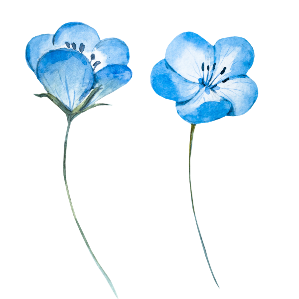 Милые рисунки яркие