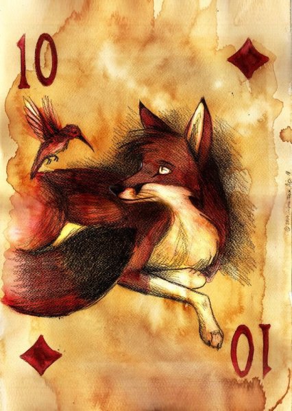 Culpeo-Fox (Анита Ульрих )