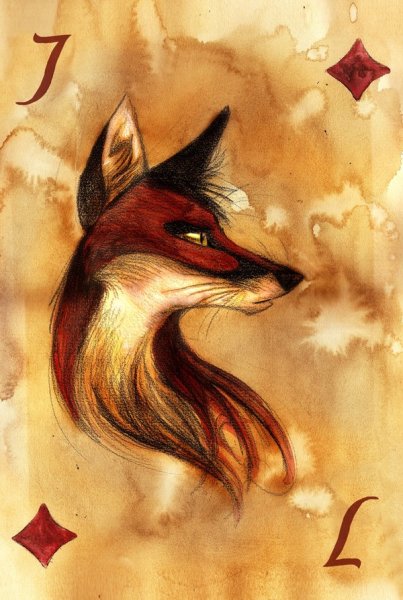 Лисы кульпео Фокс