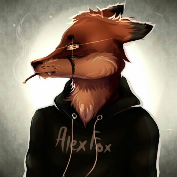 Аватарка Алекса Фокса
