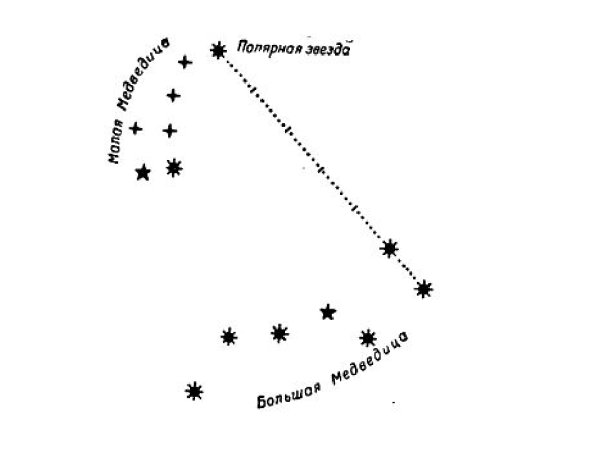 Большая и малая Медведица