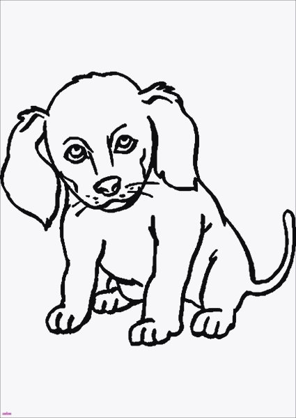 Маленький щенок срисовка