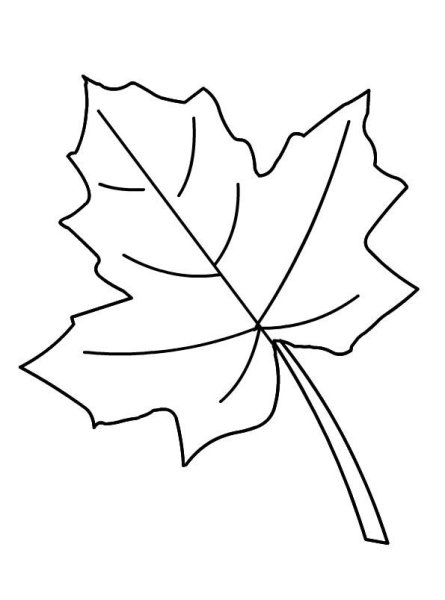 Кленовые листочки трафарет