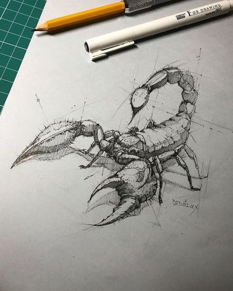 Крутые рисунки карандашом