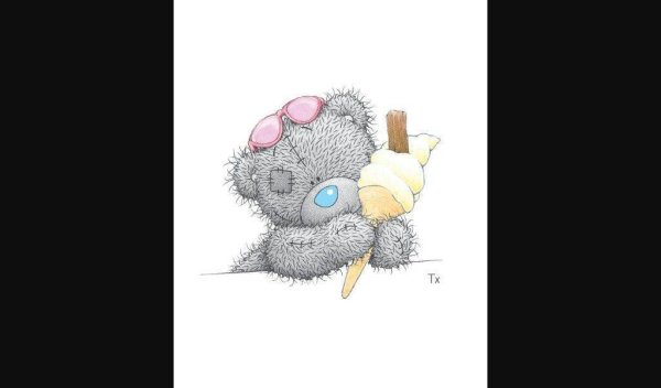 Мишка Тедди выглядывает