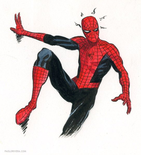 Человек паук портрет