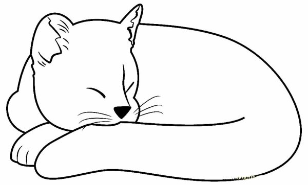Спящий кот раскраска