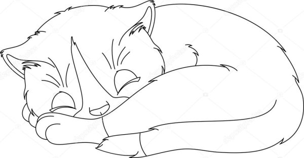 Спящий кот раскраска