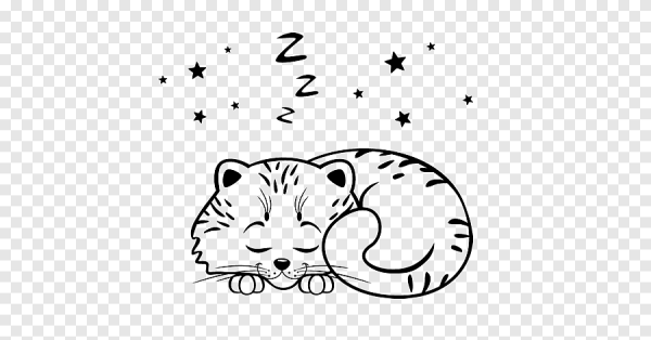 Кошка спит раскраска