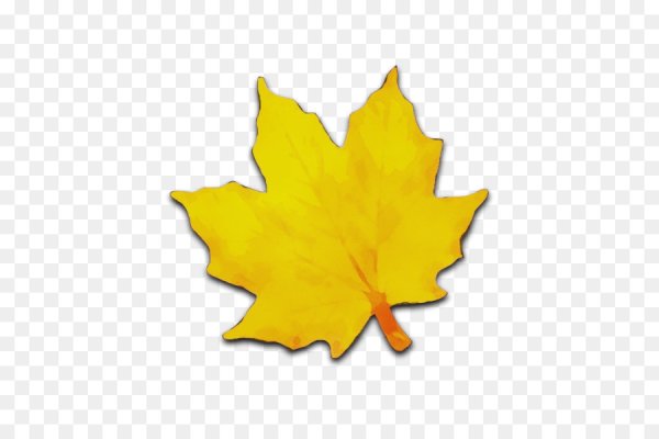 Желтые листочки