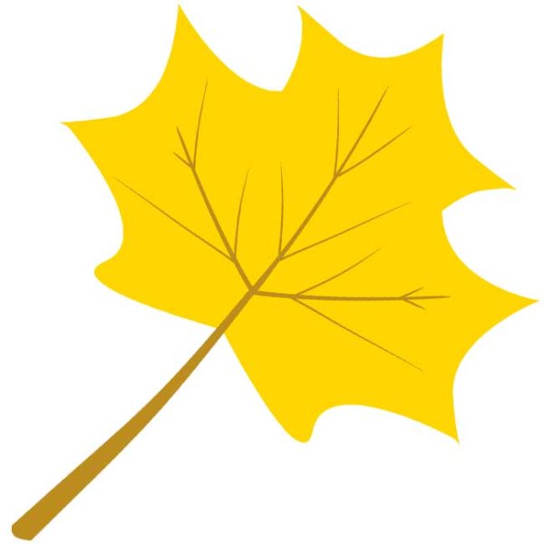 Желтые листья рисунок