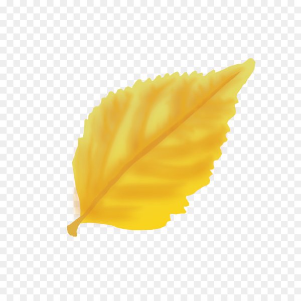 Лист желтый для детей без фона