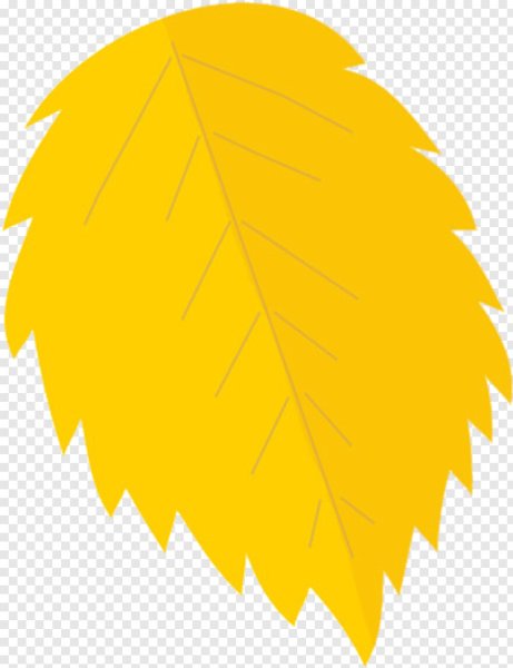 Осенние листья