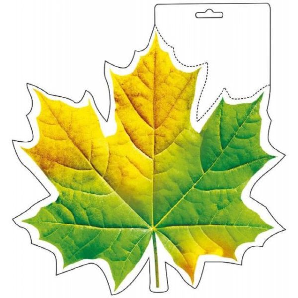 Кленовый лист желтый