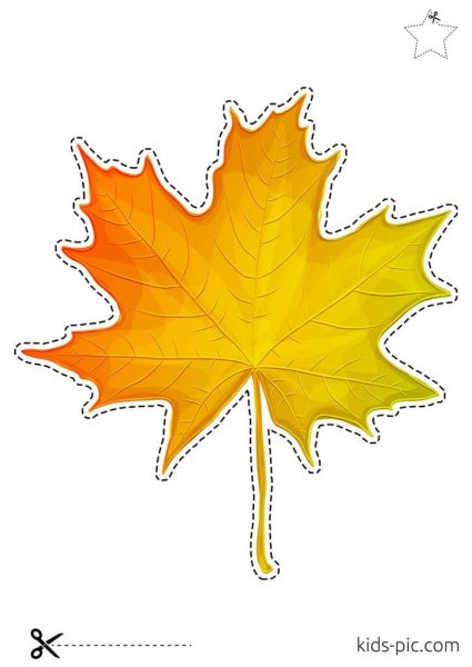 Кленовый лист желтый а4