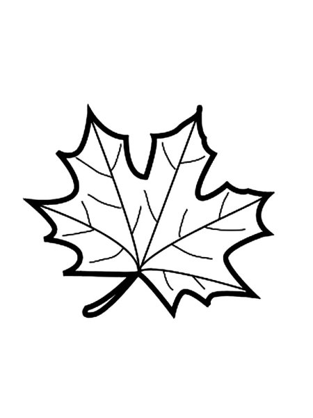 Кленовый лист раскраска