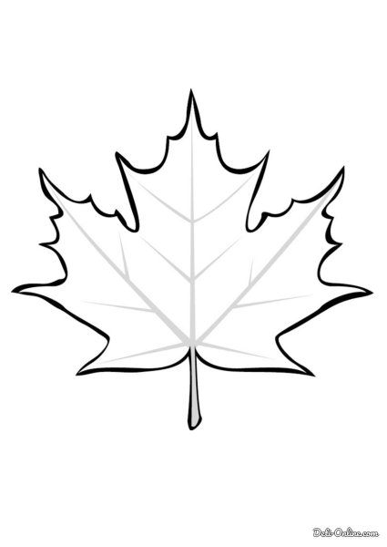 Лист клена раскраска