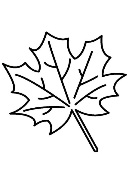 Листья раскраска