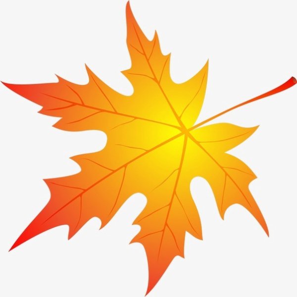 Листики кленовые цветные