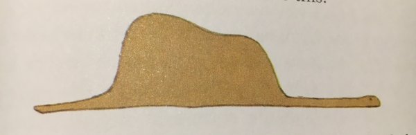 Маленький принц удав проглотивший слона