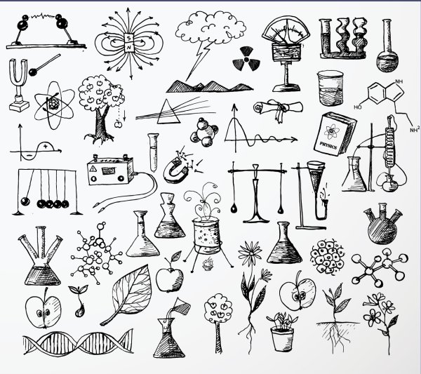 Биология раскраска